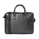 Alfred live image.webp