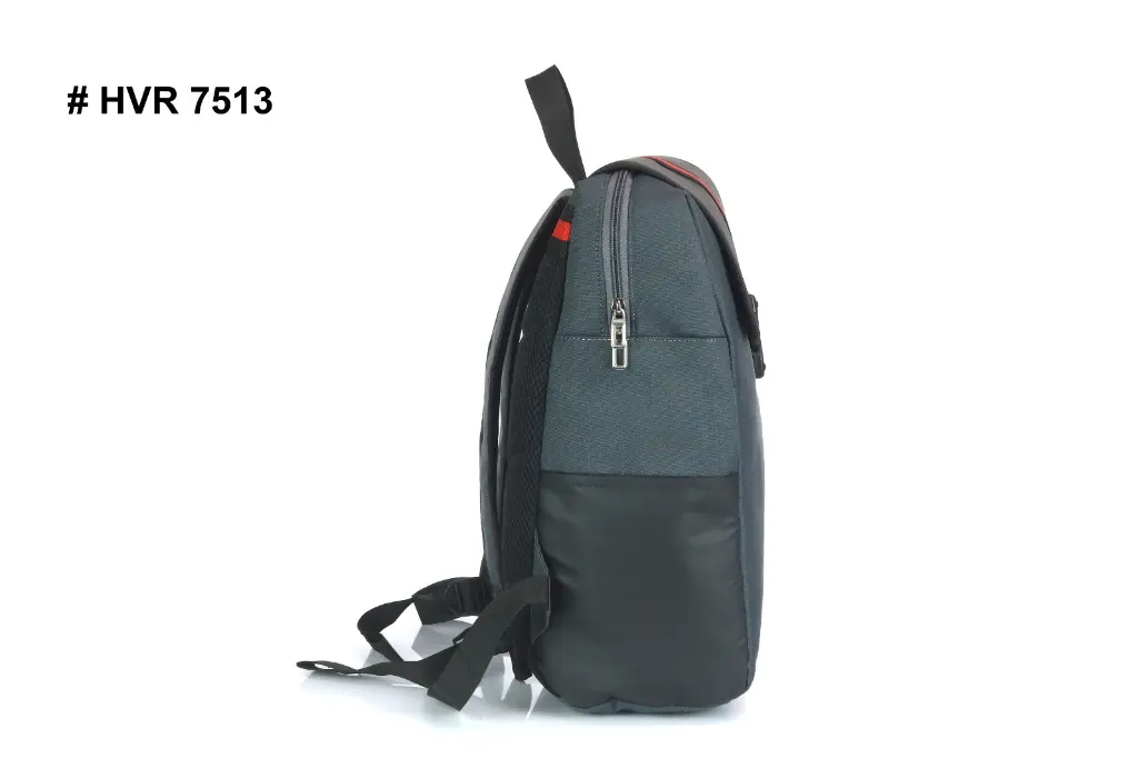 #HVR 7513 (7).webp