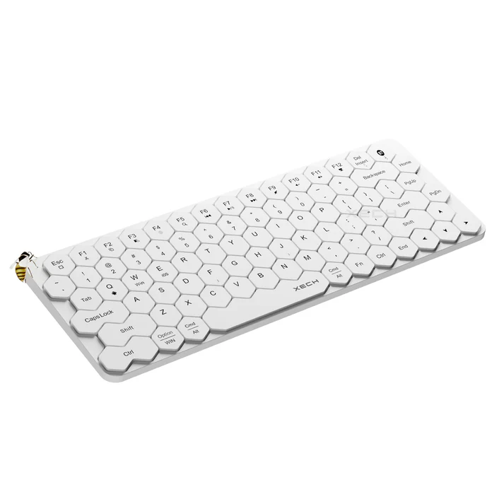 Xech Hive
